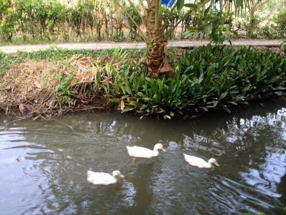 Nam Thanh Homestay Vĩnh Long Buitenkant foto