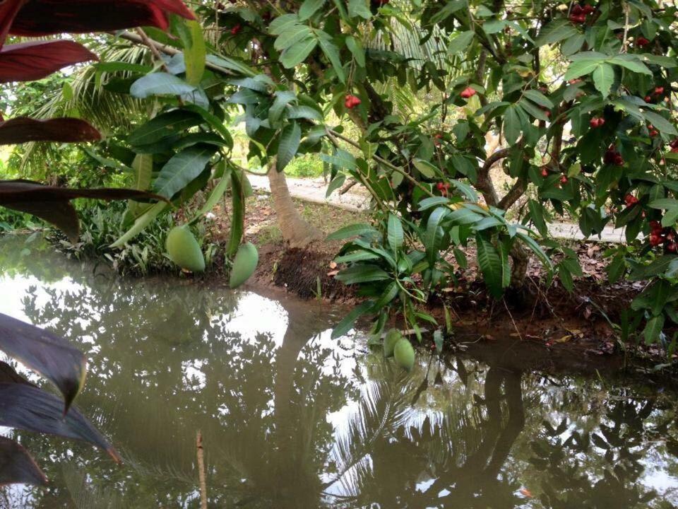 Nam Thanh Homestay Vĩnh Long Buitenkant foto